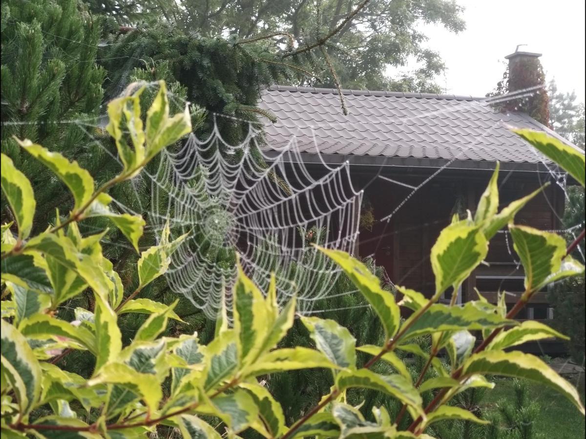 Domek Na Skraju Wsi Dostep Do Jeziora Ublik Villa Konopki Wielkie Kültér fotó