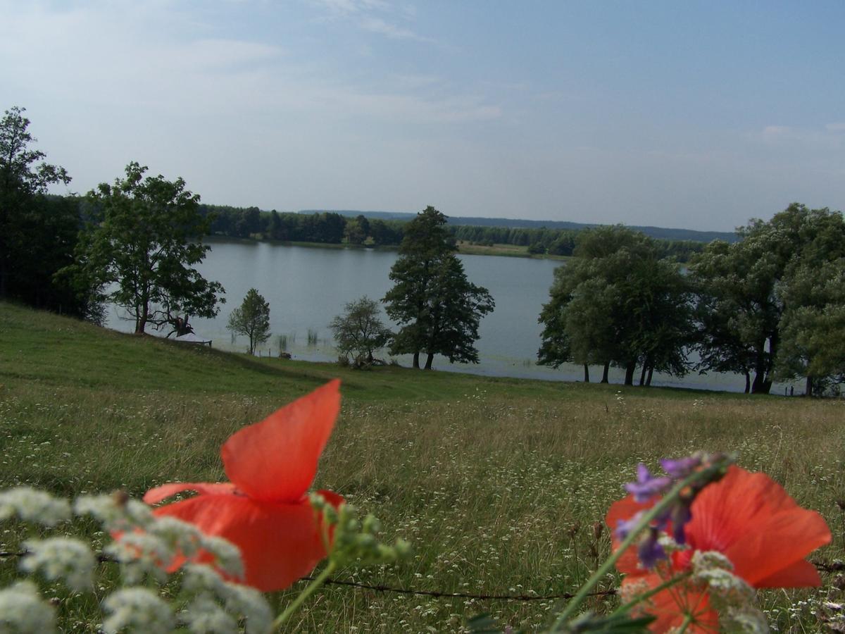 Domek Na Skraju Wsi Dostep Do Jeziora Ublik Villa Konopki Wielkie Kültér fotó